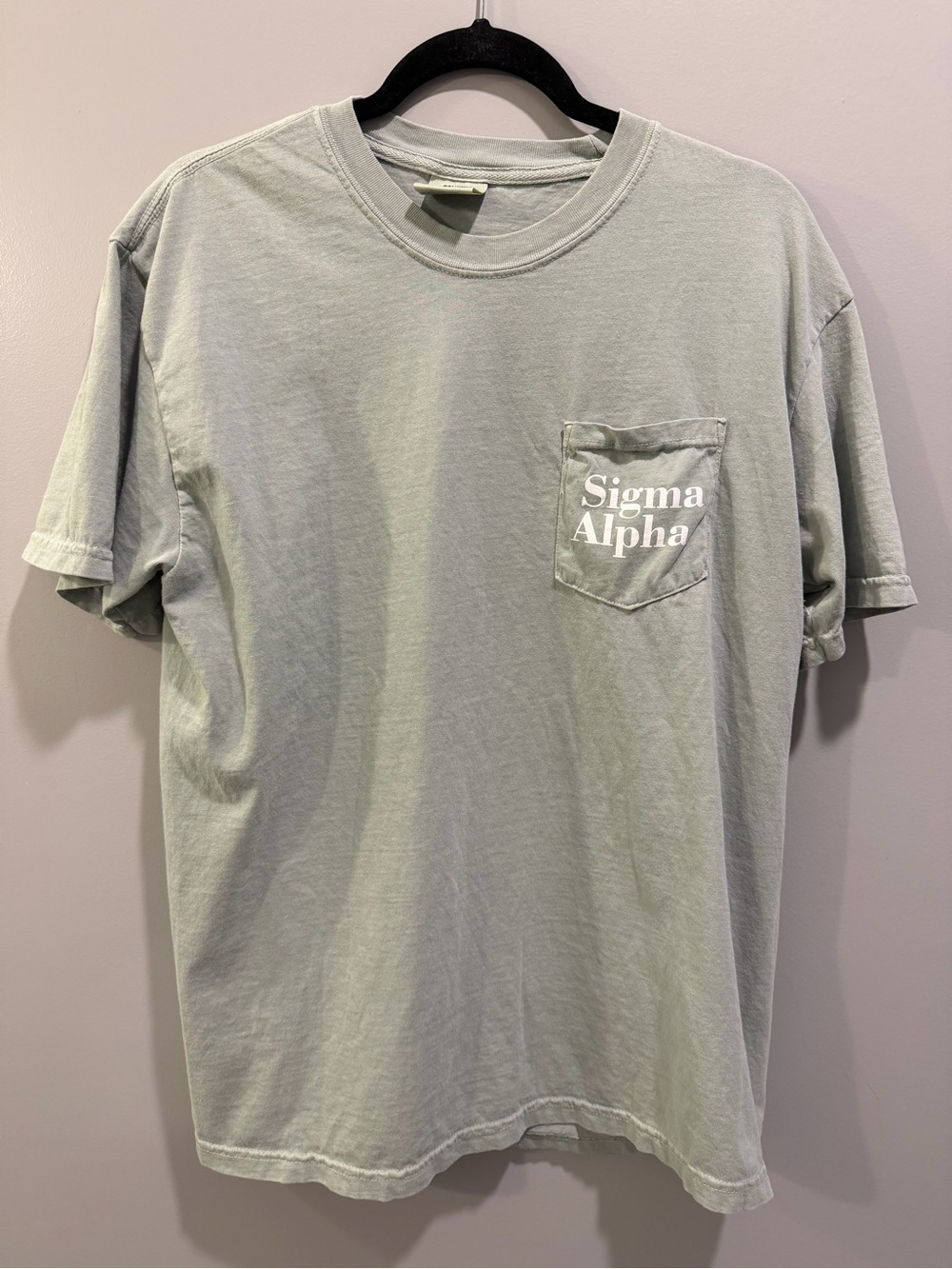 Comfort Colors Sigma Alpha Ag Never Stops Pocket Tee Green Size L